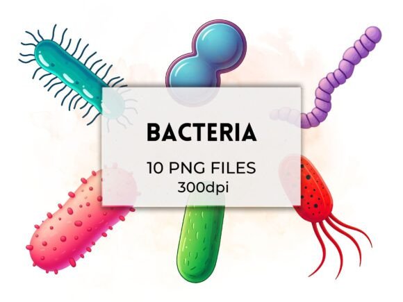 Bacteria Clipart Images: Enhance Scientific and Educational Content with High-Quality Digital Illustrations